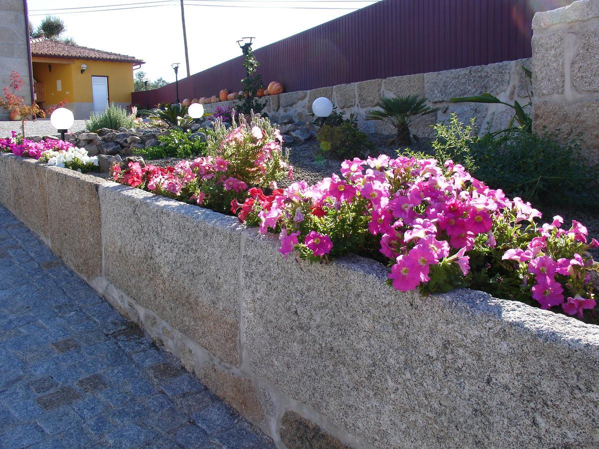 Casa Do Lagar De Tazem Bed & Breakfast Vila Nova de Tazem Bagian luar foto